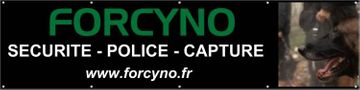 FORCYNO_logo